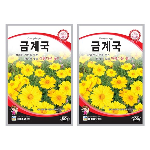 금계국 씨앗 꽃씨 300립 꽃씨앗 세계종묘 모칸도, 1개