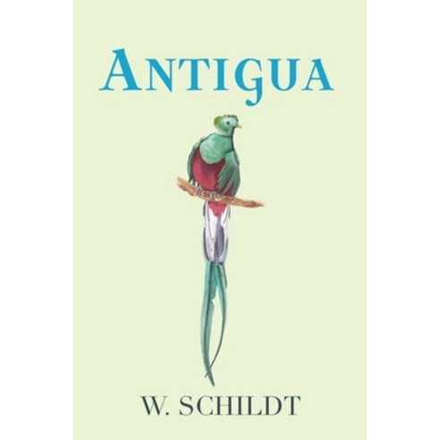 (영문도서) Antigua Paperback, Booklocker.com, English, 9781958877111