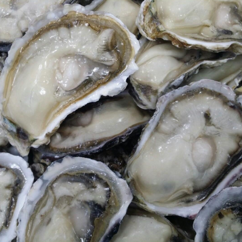[잇팅나우ㅣ인기상품] 고흥 개체굴의 매혹적인 세계: 품질의 정수를 만나보세요 [EatingNOWㅣ추천상품]