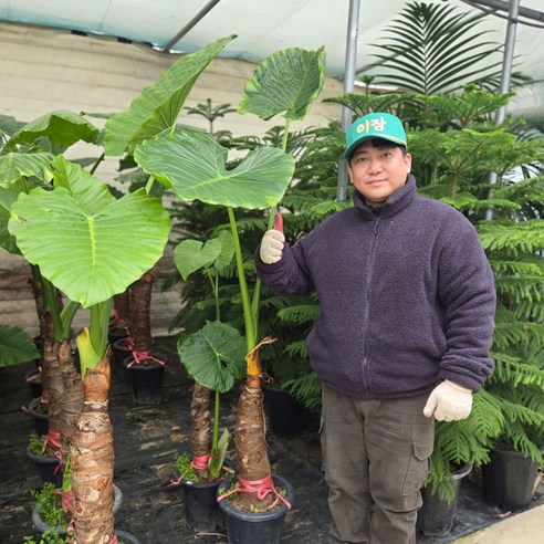 여름 정원을 수놓는 순백의 미, 배롱나무 목백일홍