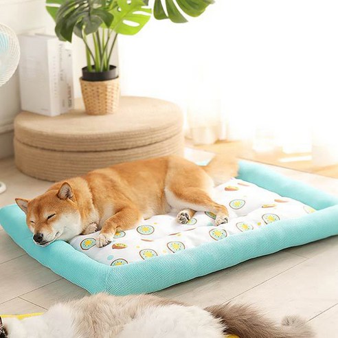 리빙공감 댕냥이 쿠션빵빵 쿨매트, 키위