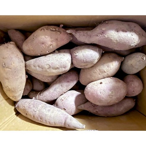 당진 못난이 호박고구마5KG 초특가 꿀고구마 못난이호박고구마 호박고구마, 1개, 못난이 호박고구마 5kg