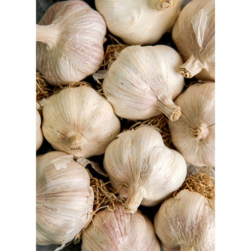 자연의 건강을 담은 통마늘