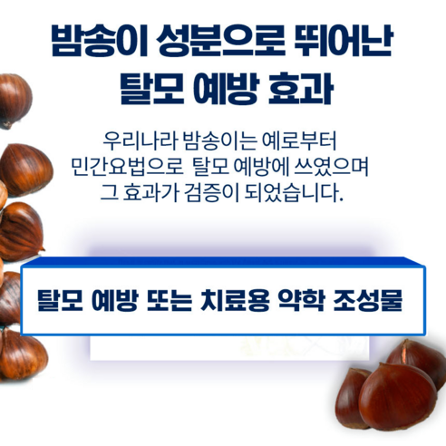 효과적인 탈모 관리를 위한 믿을 수 있는 선택