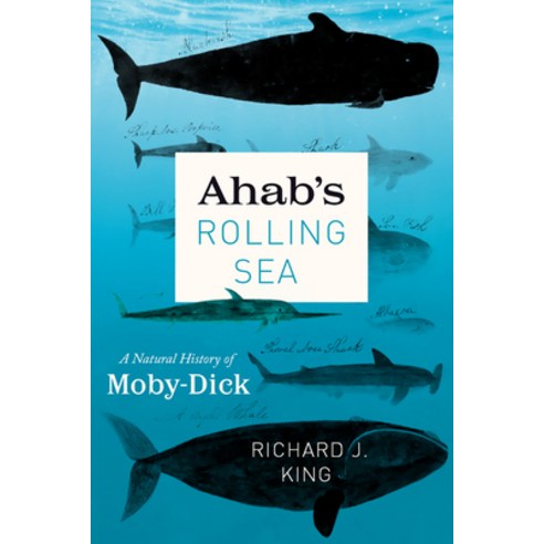 Ahab''s Rolling Sea: A Natural History of Moby-Dick Hardcover, University of Chicago Press