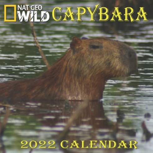 Capybara Calendar 2022: CAPYBARA calendar 2022 8.5x8.5 Inch 16 Months JAN 2022 TO APR 2023 finished ... Paperback, Independently Published, English, 9798744746698