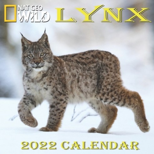 Lynx Calendar 2022: LYNX calendar 2022 8.5x8.5 Inch 16 Months JAN 2022 TO APR 2023 finished and Glossy Paperback, Independently Published, English, 9798745293672