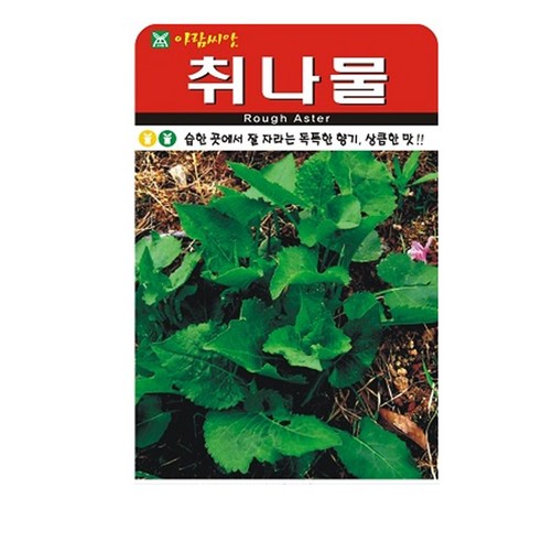 취나물 씨앗 1000립, 1개