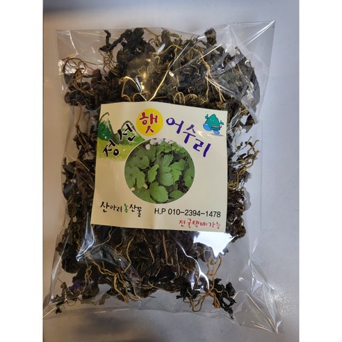 봄 향기 가득! 어수리 나물로 식탁을 싱그럽게 채우는 방법 어수리나물