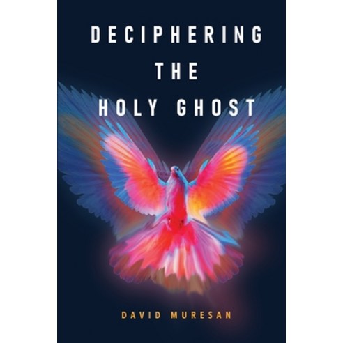 Deciphering the Holy Ghost Paperback, ISBN Services, English, 9781636848518