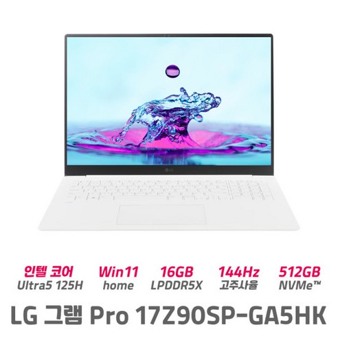 16z90sp-ga5hk LG그램 17Z90SP-GA5HK 울트라5 16GB 512GB 윈도우11 정품탑재 대화면 가벼운 노트북, WIN11 Home, 화이트