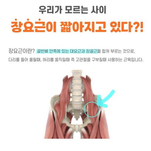 75% 할인의 기회! [더건강하게] 장요근 스트레칭 근막이완 허리 마사지기로 건강한 허리를 되찾으세요!