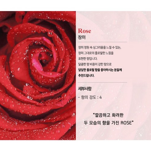 반려동물의 불안을 줄이고 집안에 편안한 분위기를 조성하는 천연 꽃향 디퓨저