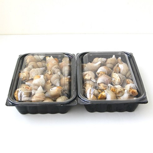 포항 백고동 자연산 통골뱅이 산지직송 생골뱅이, [생물]규격 소 1KG (50미), 1개