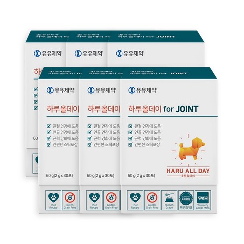 유유제약 하루올데이 JOINT 강아지 관절 반려견 영양제 슬개골 글루코사민 MSM 초록입홍합 카제로템, 뼈/관절강화, 6개