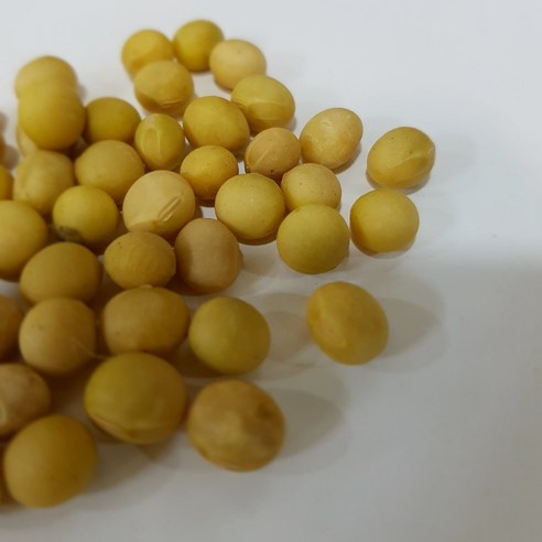 [23년산] 백태 메주콩 국산콩, 1개, 5kg