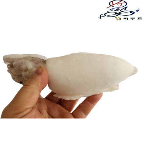 손질 갑오징어 5마리(650g) 냉동, 1개