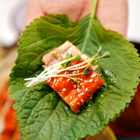 건강하고 맛있는 식사를 위한 국내산 자연산 붕장어