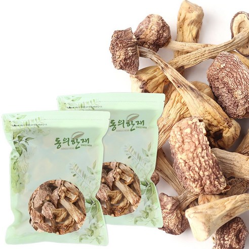 동의한재 국산 아가리쿠스 버섯 신령버섯, 100g, 2개