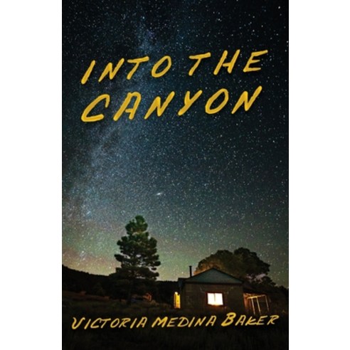 (영문도서) Into the Canyon Paperback, Xulon Press, English, 9781662868511