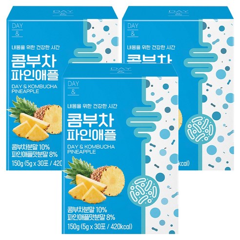 데이앤 콤부차 파인애플 30p