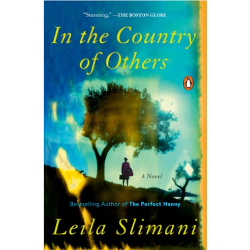 (영문도서) In the Country of Others Paperback, Penguin Books, English, 9780143135982