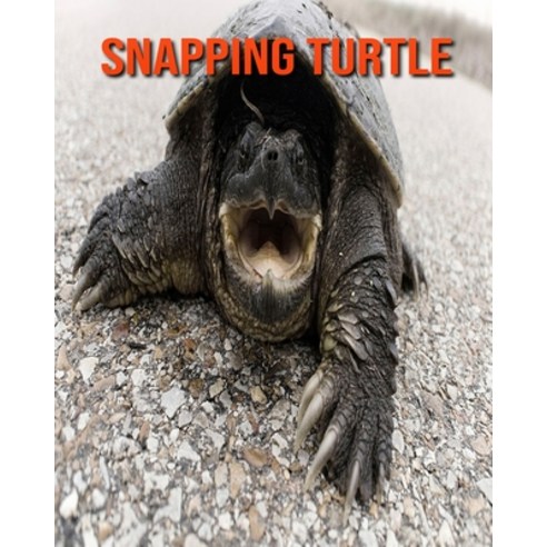 Snapping Turtle: Fun Facts & Cool Pictures Paperback, Independently ...