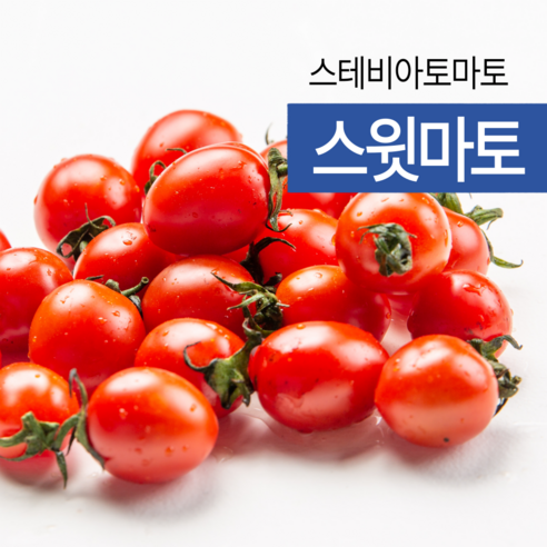 스테비아 스윗마토 레드 망고향 방울토마토 빨간 대추방울토마토 토망고, 500g, 1개