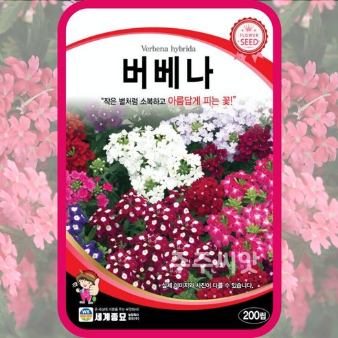 정원의 화려함과 생기를 위한 꽃씨 5종세트