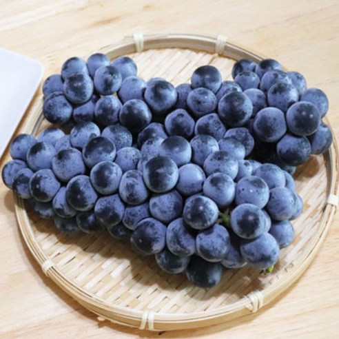 캠벨포도 고당도 국내산 포도 첫출하 1kg 2kg, 1박스, 캠벨포도 2kg 상품(10수내외)