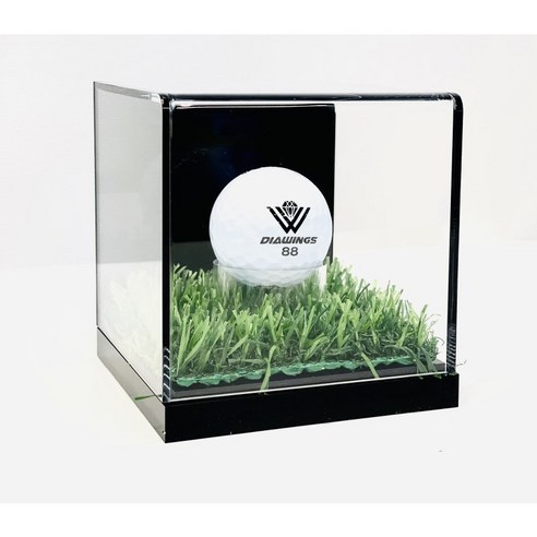 소중한 추억을 담아내는 실용적이면서 멋진 전시 케이스