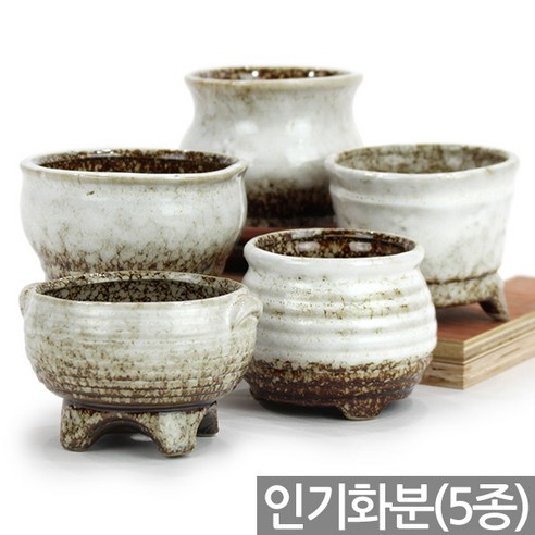 세인화분 유약 칼라화분 세트 - 다육 다육이, 05_세인_칼라인기화분(5종)_화이트, 1세트