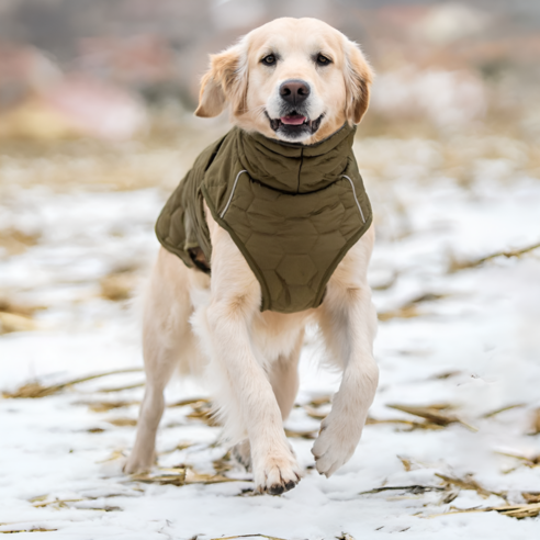 겨울철 필수 아이템, 펫스맘 강아지 패딩 조끼