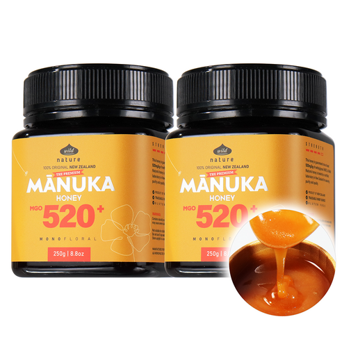와일드네이처 아침에 좋은 마누카꿀 MGO520+ UMF15+ 동일수치, 2개, 250g