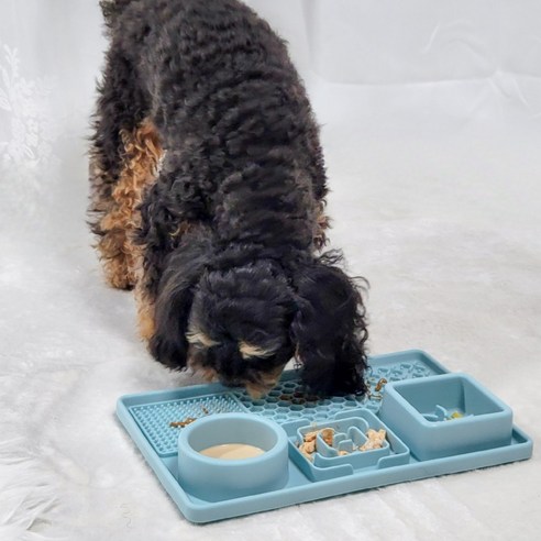 펫카 반려동물 강아지 고양이 급체방지 식판 밥그릇 물그릇, 1개, 민트