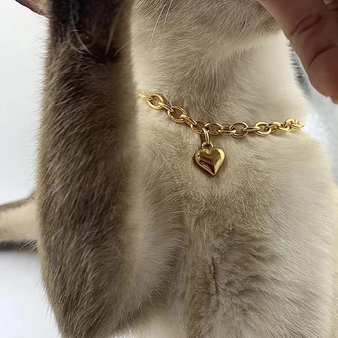 하트 고양이 목걸이 반려동물 인식표 애견 강아지 네임택 애완동물 이름표, 1개, 골드