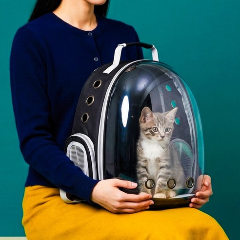 우아지오 반려동물 투명 외출가방 우주선 백팩, 1개, 블랙