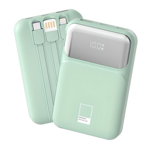 팬톤 PD 22.5W 초고속충전 대용량 케이블 일체형 미러 보조배터리 10000mAh PGB-20, Summer Leaf