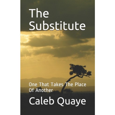 The Substitute: One That Takes The Place Of Another Paperback, Independently Published