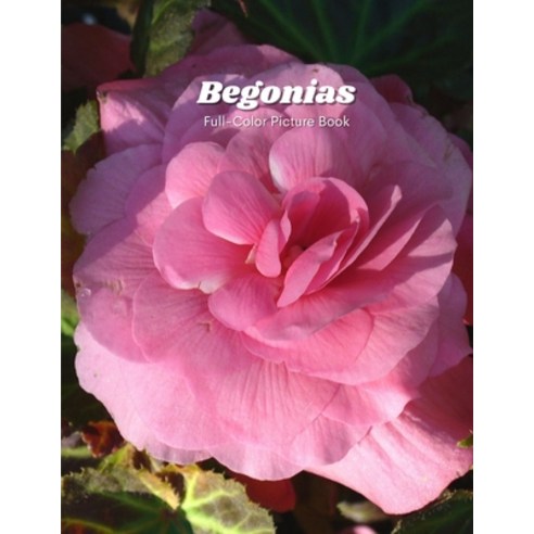 Begonias Full-Color Picture Book: Flower Picture Book for Children Seniors and Alzheimer''s Patients... Paperback, Independently Published, English, 9798722545954