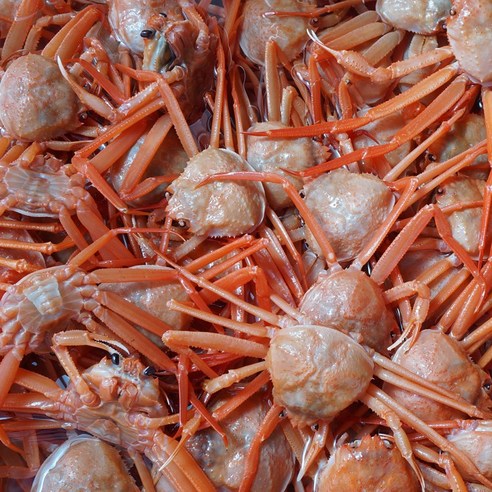 포항 제철에서 자숙 처리한 신선한 홍게 3KG 파지 실속형