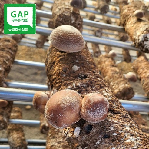 자연에서 온 최고의 재료