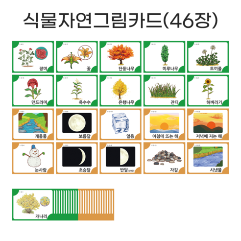 아이다보아 사물그림카드 낱말카드 한글카드 유아 첫카드 식물자연세트(46장) 상세정보