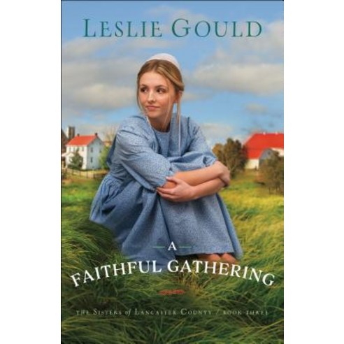 (영문도서) A Faithful Gathering Paperback, Bethany House Publishers, English, 9780764219719