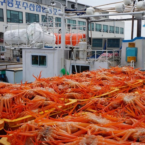 포항 제철에서 자숙 처리한 신선한 홍게 3KG 파지 실속형