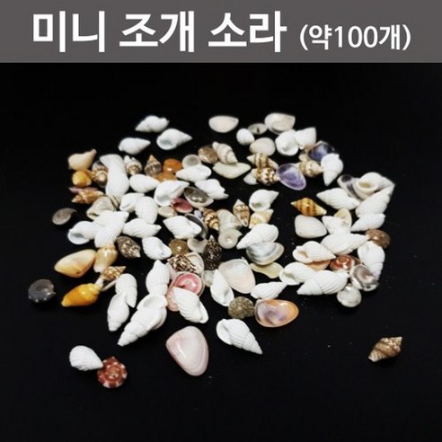 미니 조개 소라세트(약100개)-KTS, 1개