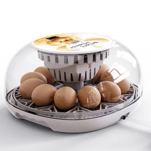 TANC엘제이 미니 인큐베이터 12란 자동 스마트 가정용 부화기, 계란 알 달걀 + 습도계 포함 
소동물/가축용품