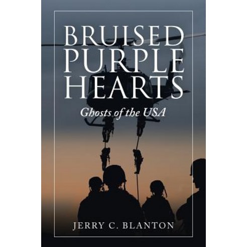 Bruised Purple Hearts: Ghosts of the Usa Paperback, iUniverse, English, 9781532072079