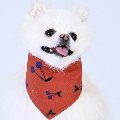 아이즈펫 강아지 고양이 코튼 양면스카프 케이프 애견용품 턱받이, 1개, 블루베리