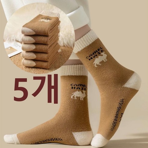 겨울 추위, 몽골 낙타의 따뜻함으로 녹이다